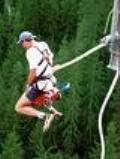 Bungy Jumping - bungy jumping articles
