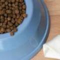 Dog Diets - Avoid Table Scraps In Your Dogs Diet