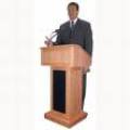 Professional Speaking - A Professional Speaker Sets The Tone For The Message