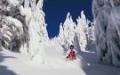 2nd Winter Sports - The Iditarod